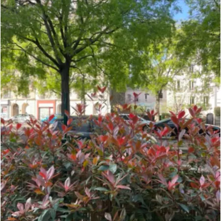 Apartment Avec Beau Jardin