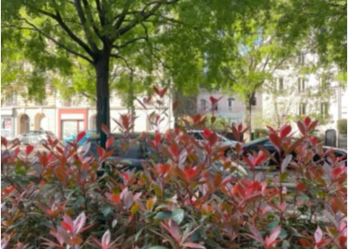 Apartment Avec Beau Jardin